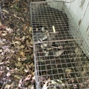 Mid-Ohio Wildlife Control LLC - Animal Removal Services