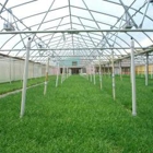 Evergreen Nursery, Inc