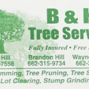 B & H Tree Service - Tree Service
