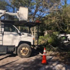 Torres Tree Services