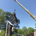 Tree Tech Tree Service