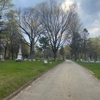 Green Ridge Cemetery gallery