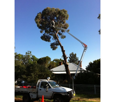Western Tree Management NSW Pty Ltd