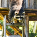Be Assured Pest Control Management - Pest Control Equipment & Supplies