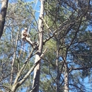 Tree Marshall - Tree Service