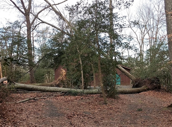 Shamrock Property Improvement Inc - Hollywood, MD. Oak trees down 3/2018 Lusby, MD