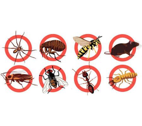 South Gippsland Pest Control