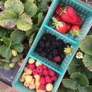 Crystal Bay Farm - Farms
