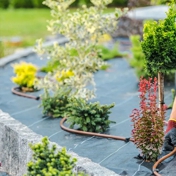 Gallery Image Number 5