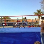 BOXING RING RENTAL SERVICES