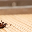 Excellence Pest Control - Pest Control Equipment & Supplies