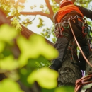 Branching Out Tree Service - Tree Service