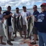 Cape Cod Bay Outfitters