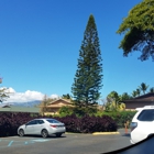 Maui Vista Resort