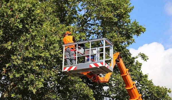 Above All Arbor - Colo Vale, NSW