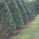 Lawn & Leaf Solutions - Landscape Contractors