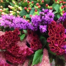 Something Special Flower & Gift Shop - Flowers, Plants & Trees-Silk, Dried, Etc.-Retail