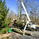 Advanced Tree Care - Tree Service