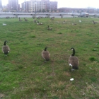 Ulysses Wiggins Waterfront Park