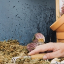 Merriman's Termite & Pest - Pest Control Equipment & Supplies