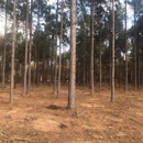 East Texas Land Clearing Pros - Grading Contractors