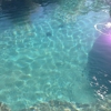Crest Pool Care gallery