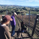 Appellation Wine Tours - Sightseeing Tours