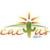 Cactus Air gallery