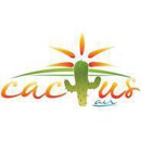 Cactus Air - Fireplaces