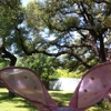 Mattie's at Green Pastures gallery