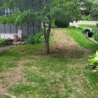 Showcase Lawn Care