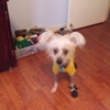Roanoke Animal Hospital gallery