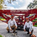 Grelite Tree Trimming and Stump Grinding - Tree Service