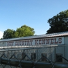 Cozy Country Kennels gallery