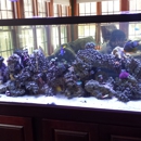 Ryan's Aquarium Maintenance - Aquariums & Aquarium Supplies