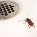 United Pest Solutions Inc.