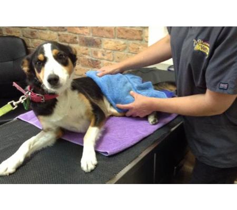 Eastwood Veterinary Clinic - Ballarat East, VIC