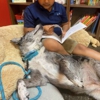 Reading Ranch Tutorial Center - Lewisville gallery