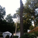 Kevin's Tree & Landscaping - Arborists