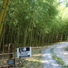 Haiku Bamboo Nursery