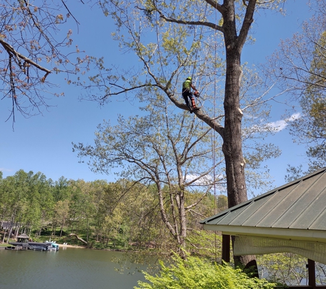 Canopy Tree Service - Mocksville, NC