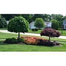 Mondragon Landscape & Gardening - Landscaping & Lawn Services