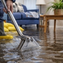 A Roto & Budget King Carpet Cleaning - Air Duct Cleaning