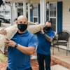 Hernandez Carpet Cleaning gallery