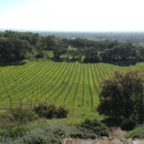 Paradise Ridge - Wineries