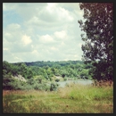 Kickapoo State Park - State Parks