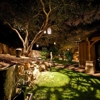 Daley Landscape, Inc. gallery