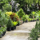 Fort Lauderdale Landscaping Company - Landscape Designers & Consultants