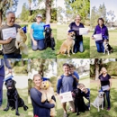 Finest City Dog Training - Dog Training