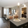 The Allure Mineola gallery